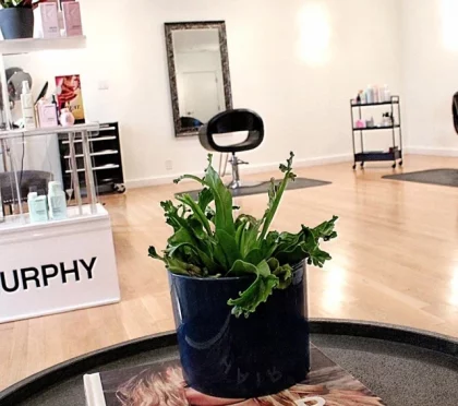 Salon Jerome @ Phenix Salon Suites – Hair straightening near me in Los Campos