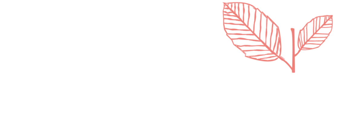 Birch Beauty Studio, Ann Arbor - Photo 6