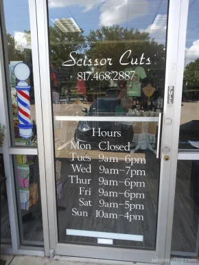 Scissor Cuts, Arlington - Photo 2