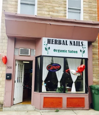 Herbal Organic Nail Salon, Baltimore - Photo 6