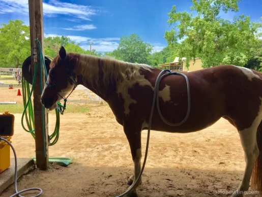 Simply Texas Sporthorses & Rehabilitation, Beaumont - Photo 1