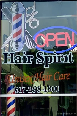 Hair Spirit Unisex Hair Care, Boston - Photo 7