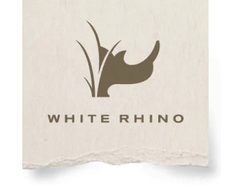 White Rhino Productions, Boston - Photo 2