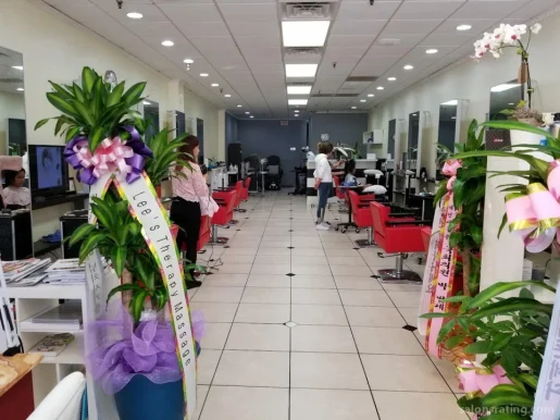 Dass Hair Salon, Carrollton - Photo 3