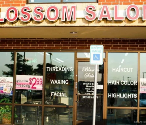 Blossom Salon, Carrollton - Photo 2