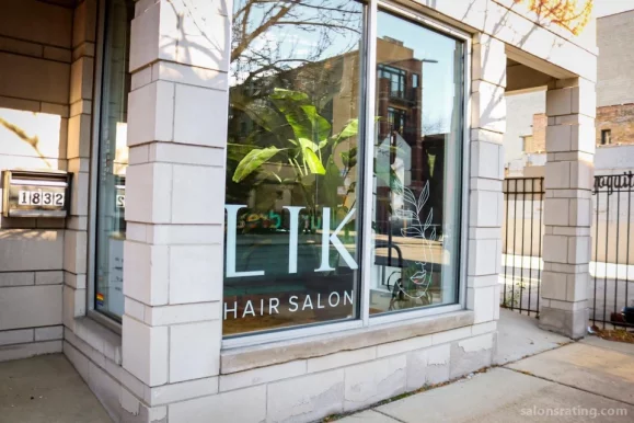 Lik Salon, Chicago - Photo 4