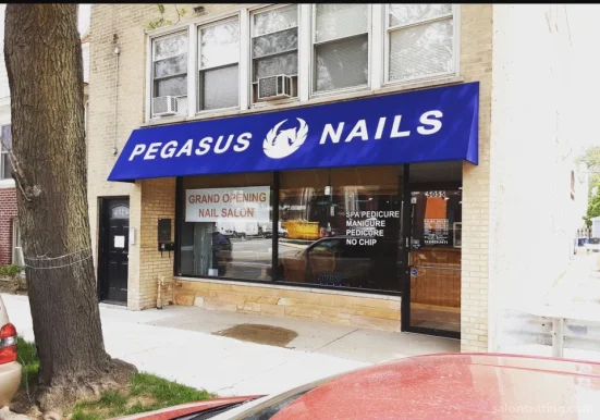 Pegasus Nails, Chicago - Photo 1