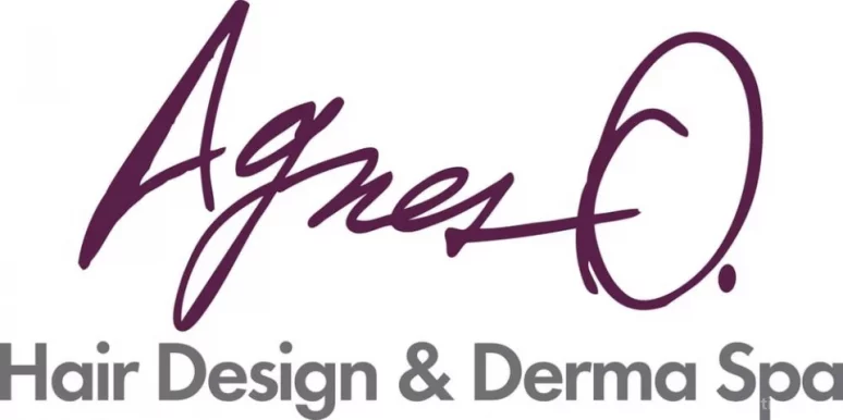 Agnes O. Hair Design & Derma Spa, Chicago - Photo 4