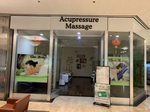 Acupressure Massage, Chicago - Photo 8