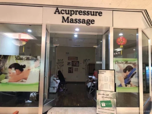 Acupressure Massage, Chicago - Photo 2