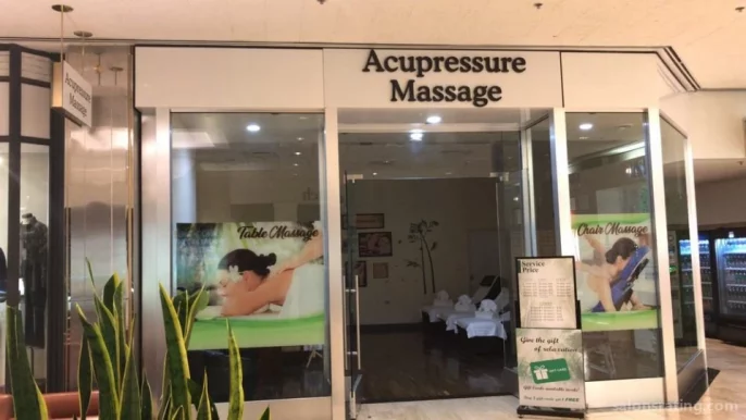 Acupressure Massage, Chicago - Photo 7