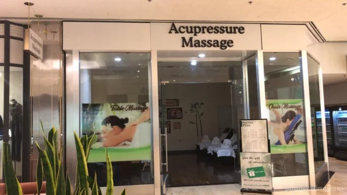 Acupressure Massage, Chicago - Photo 5