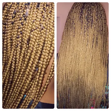 Tieisha braids, Chicago - Photo 3