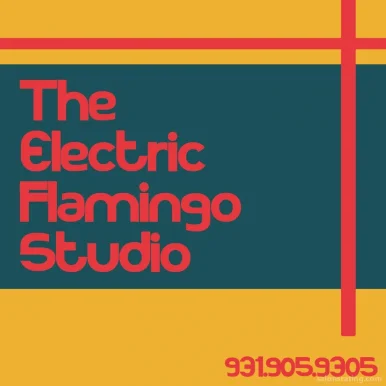 The Electric Flamingo Studio, Clarksville - 