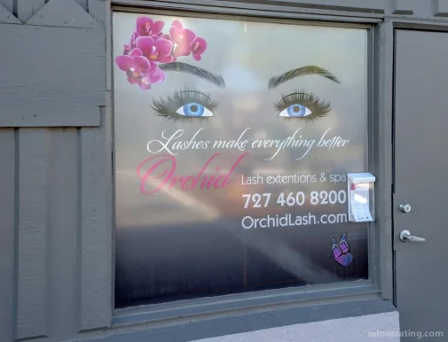 Orchid Lash and Spa, Clearwater - Photo 3