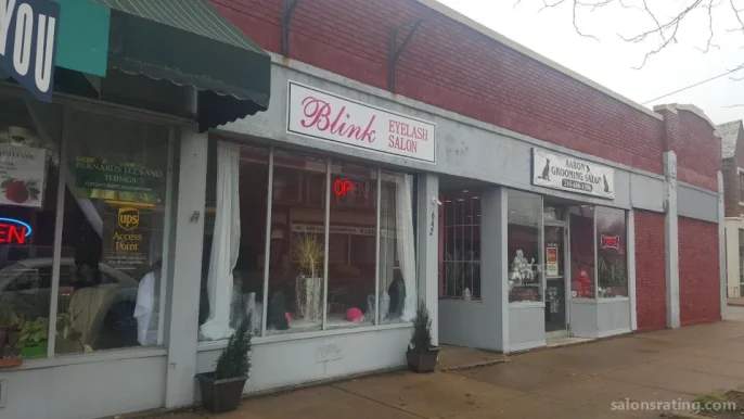 Blink Eyelash Salon, Cleveland - Photo 2