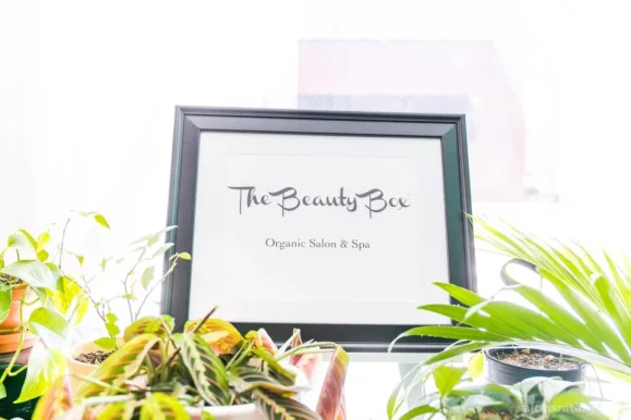 The Beauty Box Organic Salon & Spa, Columbus - Photo 4