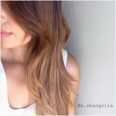 Shangri la Hair Studio, Corona - Photo 1