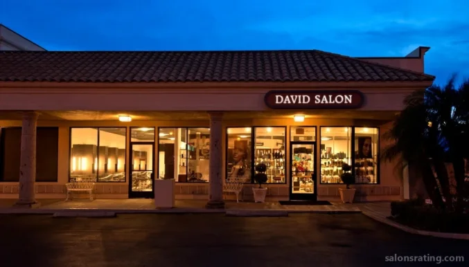 The David Salon, Costa Mesa - Photo 6