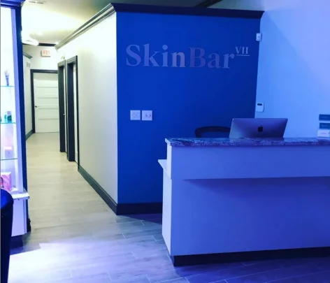 Skin bar vii, Detroit - Photo 2