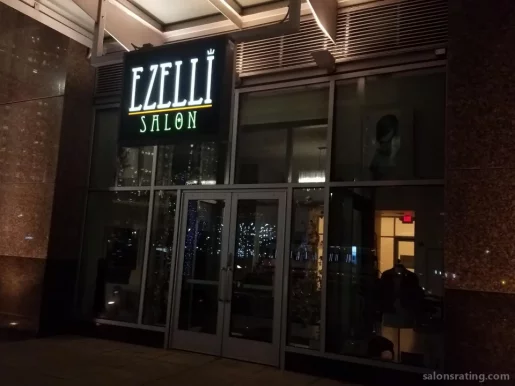 Ezelli Hair Salon, Detroit - Photo 2