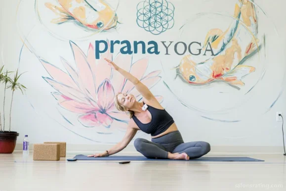 Pranayoga Institute of Yoga and Holistic Health, Fort Wayne - Photo 1
