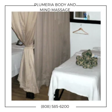 Plumeria Body & Mind Massage, Honolulu - Photo 5