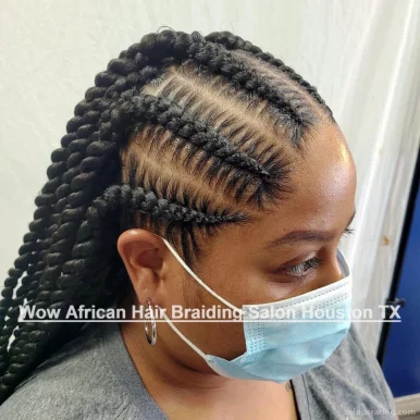 Hair Braiding In Houston - Braids, Twists, Locs & More - Wow African Hair Braiding Salon, Houston - Photo 1
