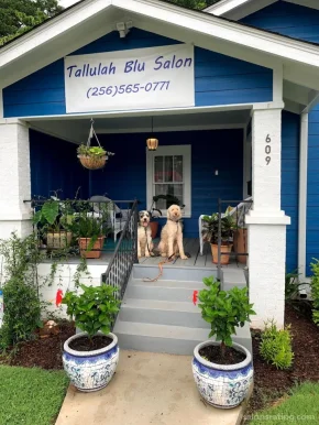 Tallulah Blu, Huntsville - Photo 1