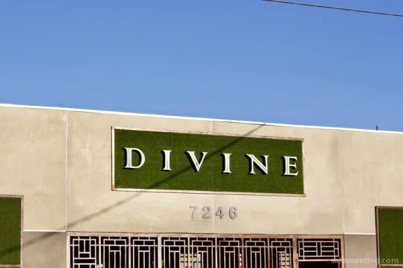 Divine Wellness Center, Los Angeles - Photo 3