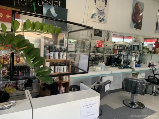 V S Hair Salon, Los Angeles - Photo 7