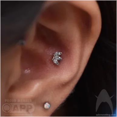 Aesthetic Ambition Piercing and Fine Jewelry, Los Angeles - Photo 3