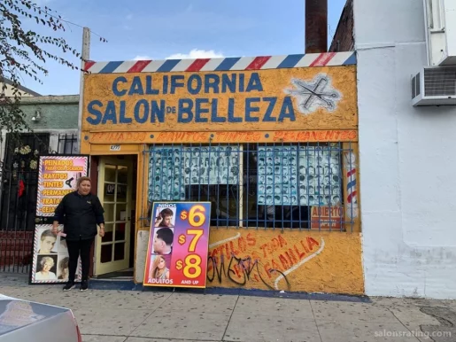 California Beauty Salon, Los Angeles - Photo 3