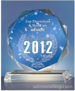 Zap! Electrolysis & Skin Care, Los Angeles - Photo 3