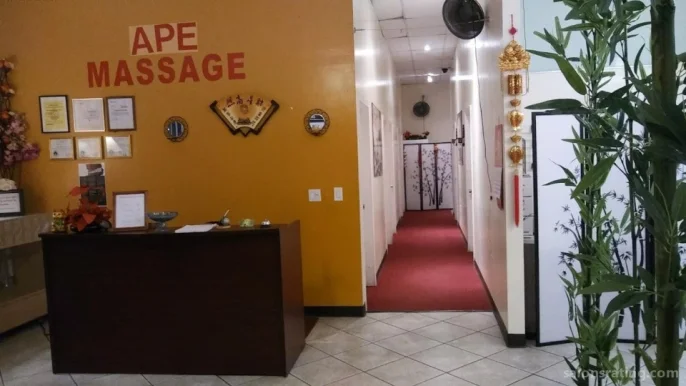 Ape Massage, Los Angeles - Photo 2