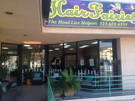 Hair Fairies The Head Lice Helpers Los Angeles, Los Angeles - Photo 2