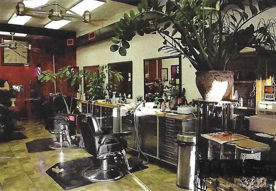 Shaggy's experimental Barber Shop, NOTARY, Fax/Copy & Village Post Office., Lexington - Photo 4