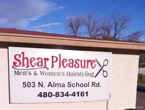 Shear Pleasure, Mesa - Photo 2