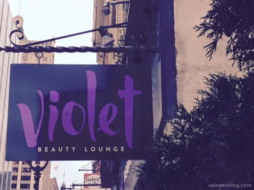 Violet Beauty Lounge, Milwaukee - Photo 3