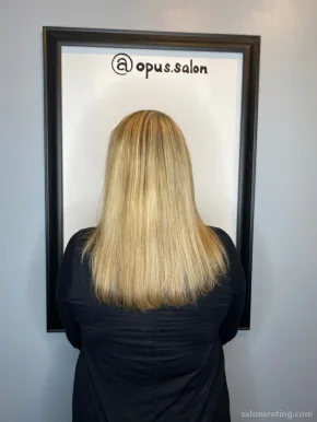 Opus Salon, Mobile - Photo 1