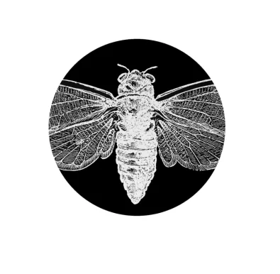 Cicada Salon, New Orleans - 