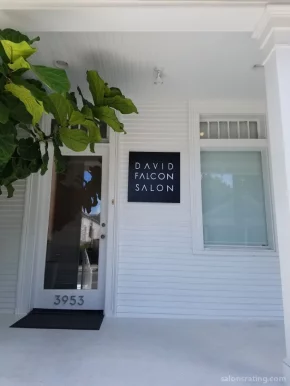 David Falcon Salon, New Orleans - Photo 2