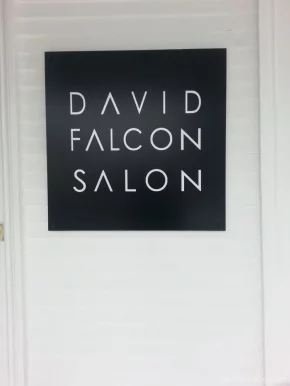 David Falcon Salon, New Orleans - Photo 7
