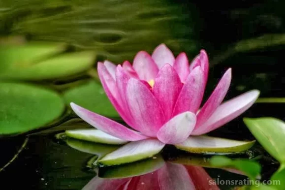 Healing Lotus Massage, New Orleans - 