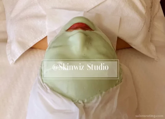 Skinwiz Studio, New York City - Photo 1