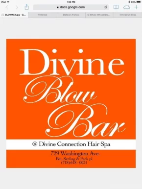 Divine Connection Hair Spa, New York City - Photo 2