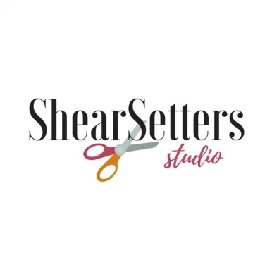 Sheer Setter Salon, New York City - Photo 6