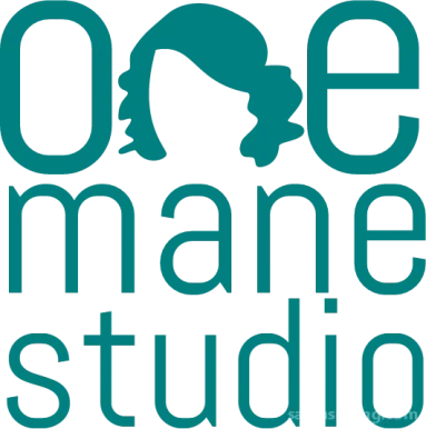One Mane Studio, New York City - Photo 8