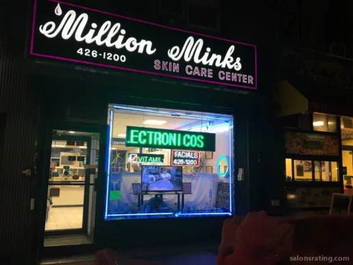 Million Minks Corporation, New York City - Photo 2