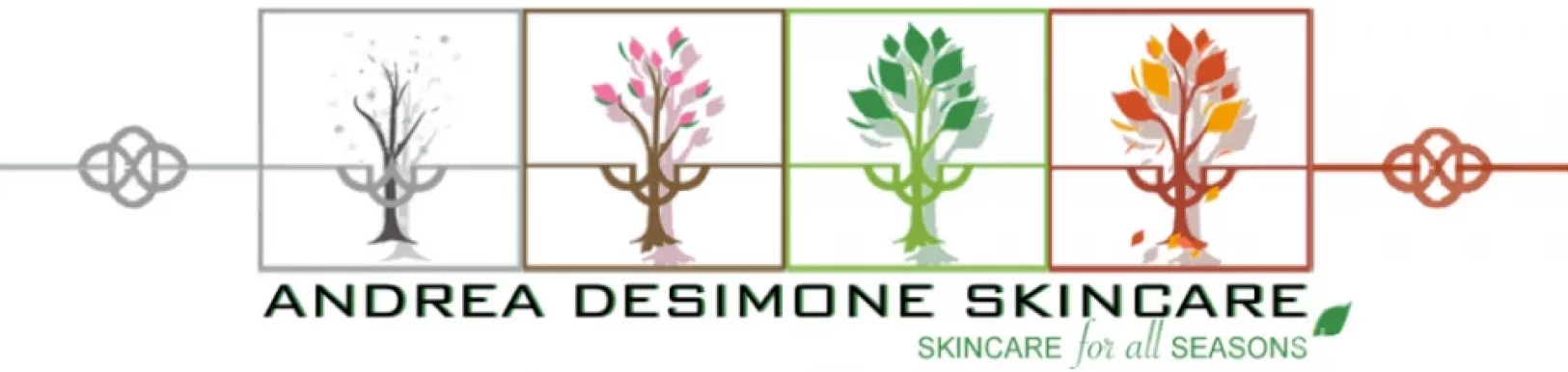 Andrea DeSimone Skincare, New York City - Photo 2